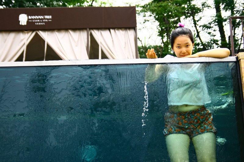 2011 banyan tree10.jpg